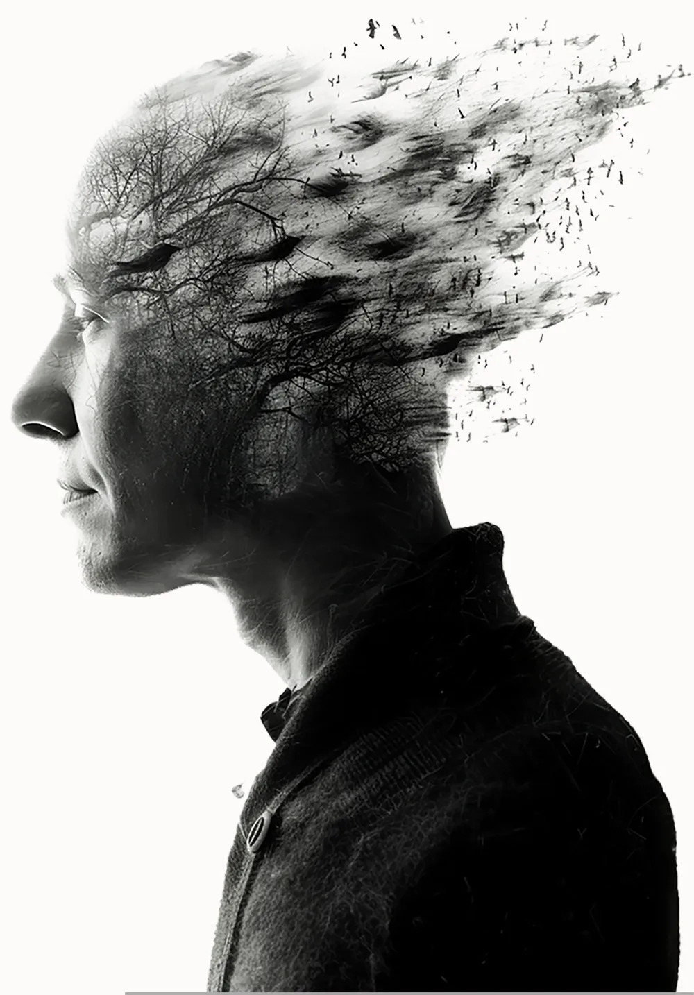 Form is emptiness, emptiness is form