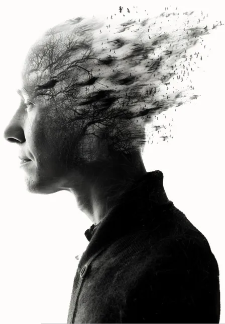 Silhouette dissolving into oneness